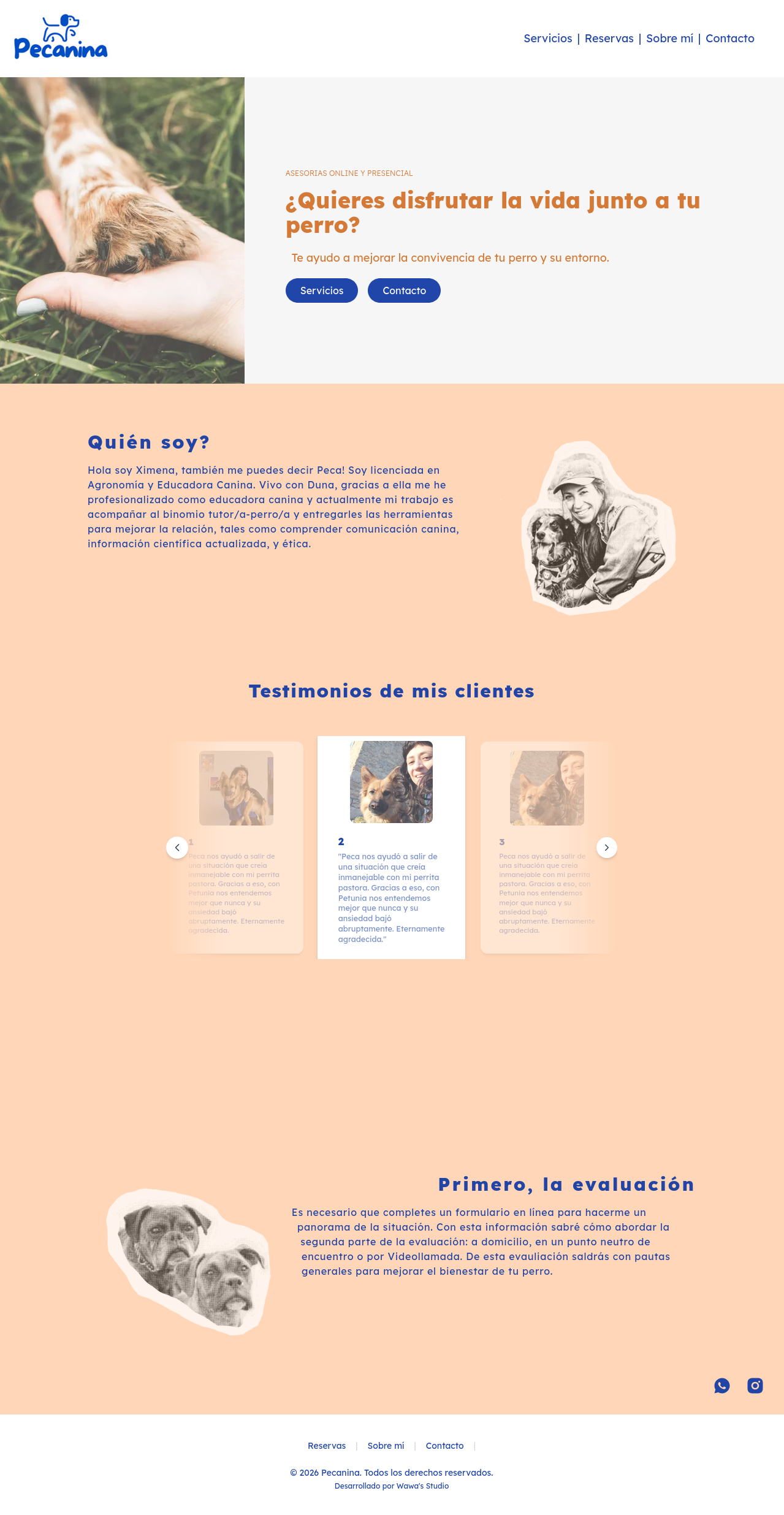 PECANINA preview